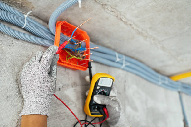 Best Electric Panel Repair  in Fanwood, NJ